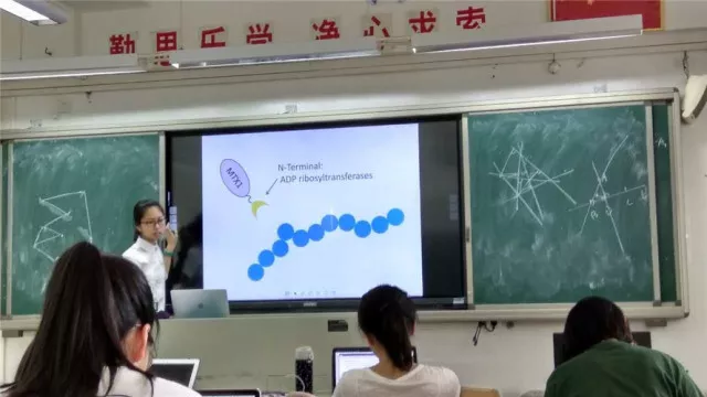 HFI华附国际部学生赛前准备 HFI华附国际部学生赛前准备