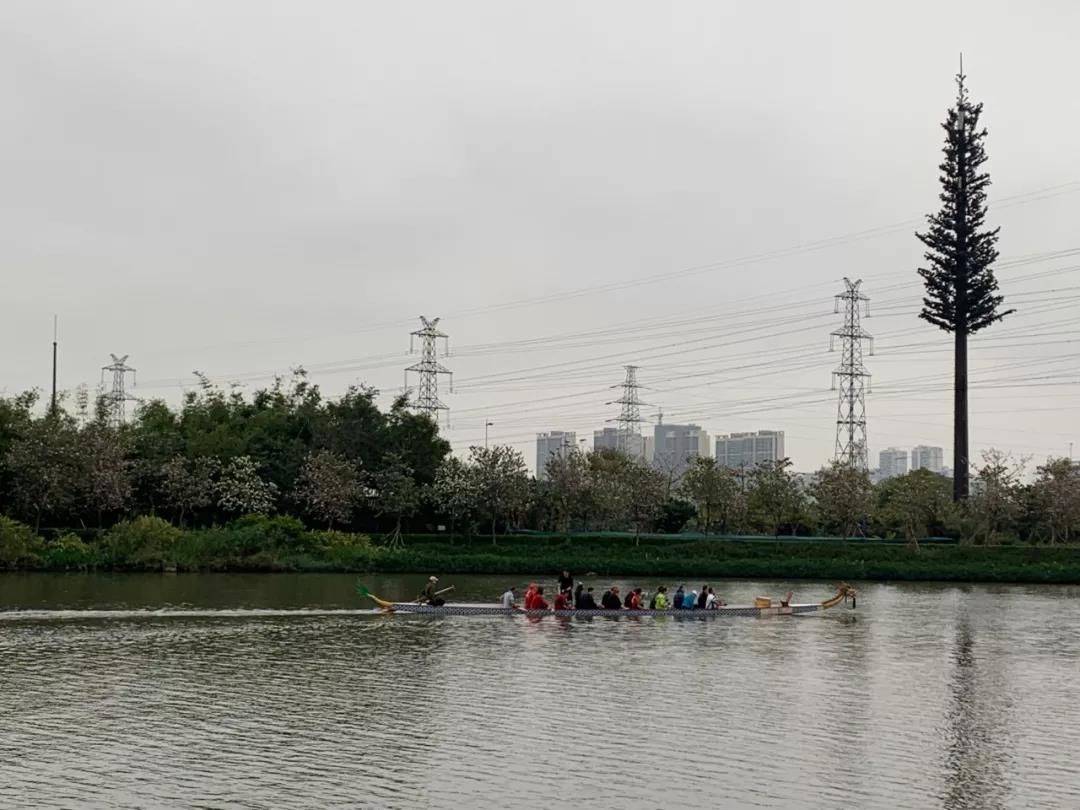 华附国际部日慈善跑